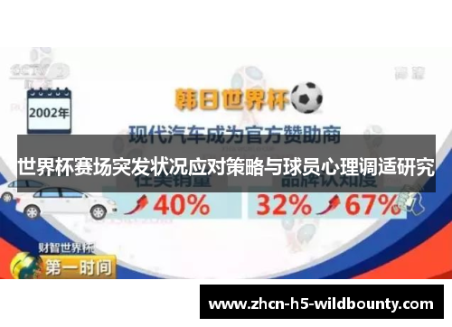 世界杯赛场突发状况应对策略与球员心理调适研究