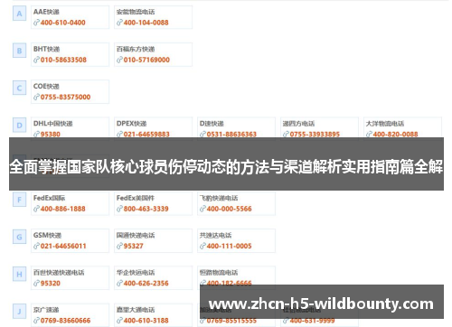 全面掌握国家队核心球员伤停动态的方法与渠道解析实用指南篇全解