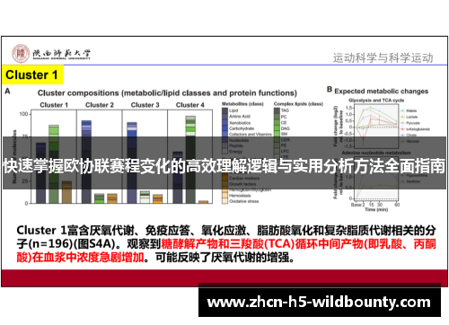 快速掌握欧协联赛程变化的高效理解逻辑与实用分析方法全面指南