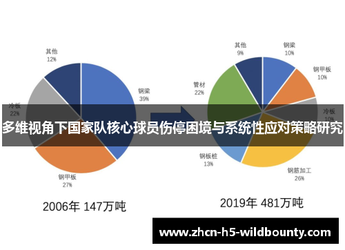 多维视角下国家队核心球员伤停困境与系统性应对策略研究