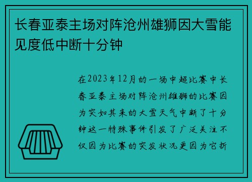 长春亚泰主场对阵沧州雄狮因大雪能见度低中断十分钟